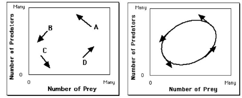 Cryptographic-Biorhythms-img7