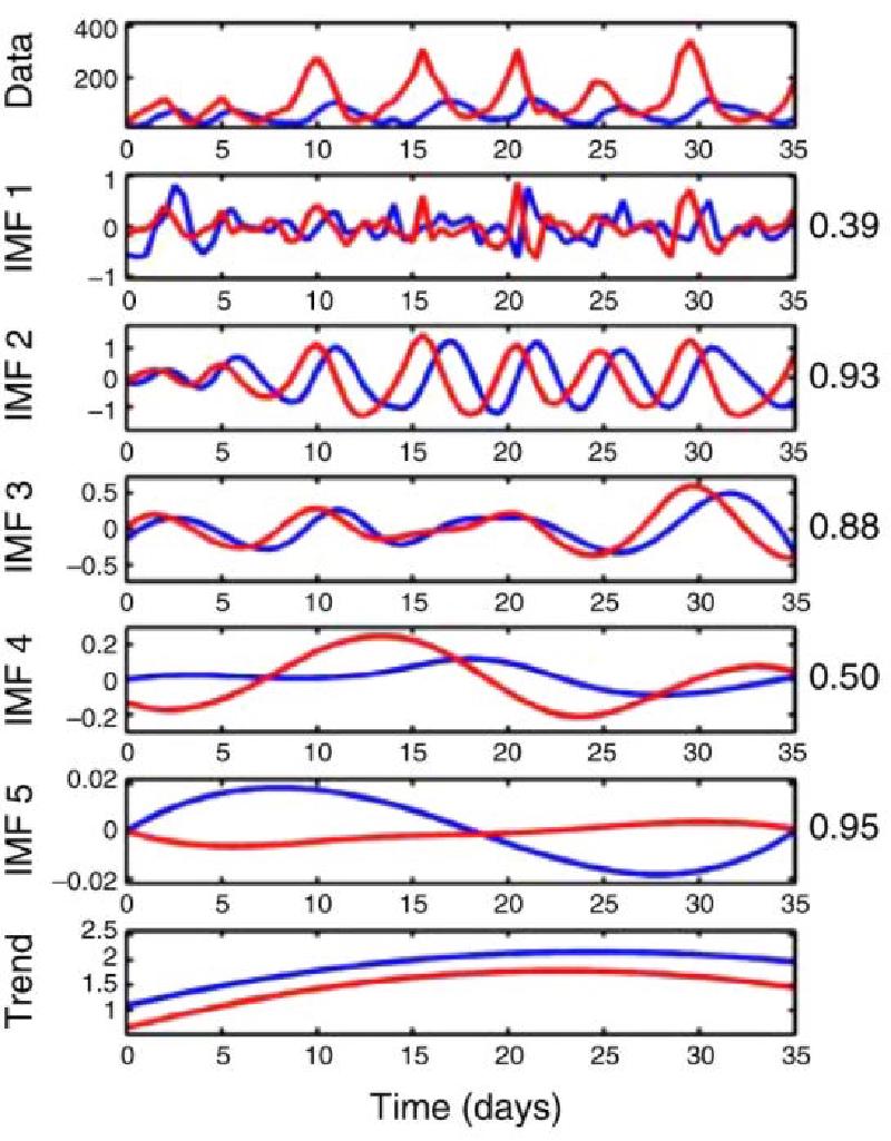 Cryptographic-Biorhythms-img9