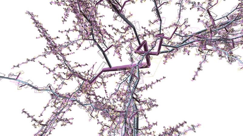 Procedural-Models-of-Political-Order-img1