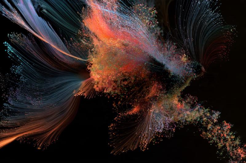 Signals pulling in every direction An abstract cluster of colourful light trails and particles branching outward in many directions against a black background