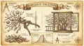 Variance Deletion: Why Cherry-Picking Data Collapses Agents