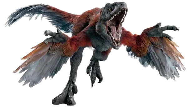 A feathered pyroraptor with outstretched wings and jaws open, cut out against the page background.