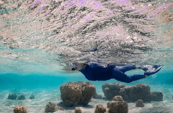 A snorkeller swimming above stromatolite formations in shallow, clear water at Shark Bay, Australia.